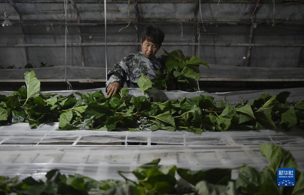 可以提钱的游戏